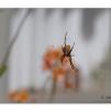 View the image: Olympus E-30