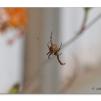 View the image: Olympus E-30