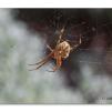 View the image: Olympus E-30