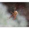 View the image: Olympus E-30
