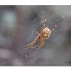 View the image: Olympus E-30