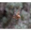 View the image: Olympus E-30