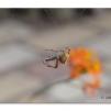View the image: Olympus E-30