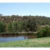 View the image: Tarrawarra Art Gallery & Winery - Buildings  & Surrounds
