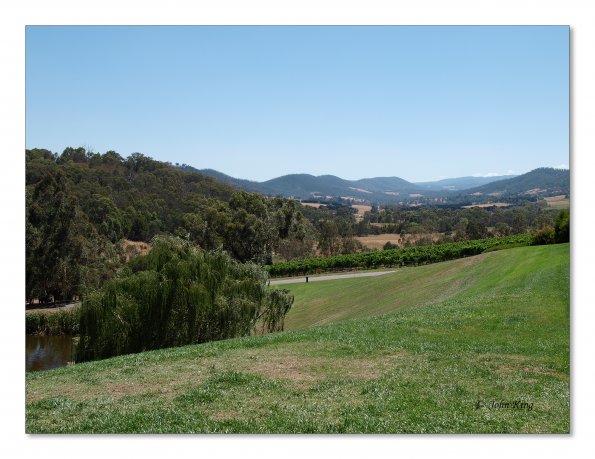 Tarrawarra Art Gallery & Winery - Buildings  & Surrounds