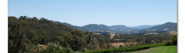 tarrawarra:
Tarrawarra Art Gallery & Winery - Buildings  & Surrounds