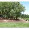 View the image: Tarrawarra Art Gallery & Winery - Buildings  & Surrounds