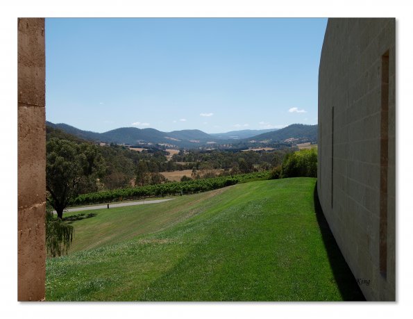 Tarrawarra Art Gallery & Winery - Buildings  & Surrounds