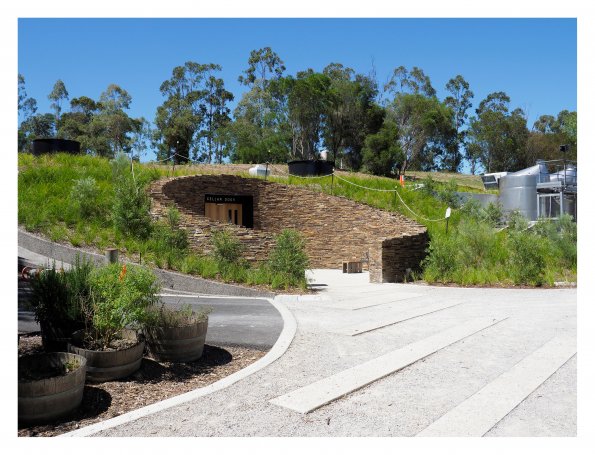 Tarrawarra Art Gallery & Winery - Buildings  & Surrounds