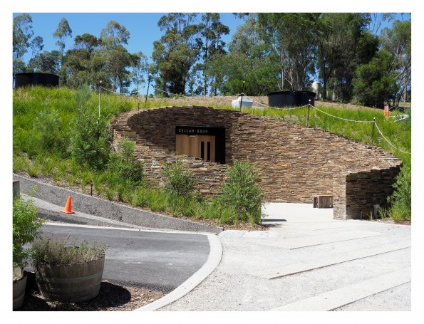 Tarrawarra Art Gallery & Winery - Buildings  & Surrounds