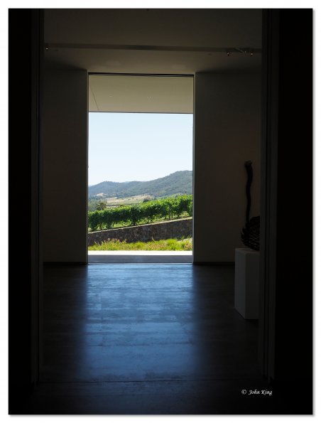 Tarrawarra Art Gallery & Winery - Buildings  & Surrounds