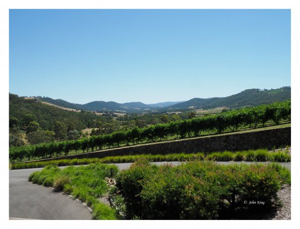 Tarrawarra Art Gallery & Winery - Buildings  & Surrounds