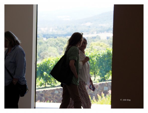 Tarrawarra Art Gallery & Winery - Buildings  & Surrounds