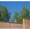 View the image: Tarrawarra Art Gallery & Winery - Buildings  & Surrounds