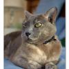 View the image: OLYMPUS E-510