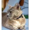 View the image: OLYMPUS E-510