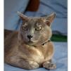View the image: OLYMPUS E-510