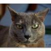 View the image: OLYMPUS E-510