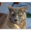 View the image: OLYMPUS E-510
