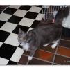 View the image: OLYMPUS DIGITAL CAMERA