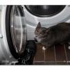View the image: OLYMPUS DIGITAL CAMERA