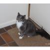 View the image: OLYMPUS DIGITAL CAMERA