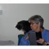 View the image: OLYMPUS DIGITAL CAMERA