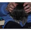 View the image: OLYMPUS DIGITAL CAMERA