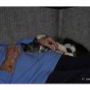 View the image: OLYMPUS DIGITAL CAMERA