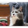 View the image: OLYMPUS DIGITAL CAMERA