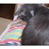 View the image: OLYMPUS DIGITAL CAMERA