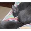 View the image: OLYMPUS DIGITAL CAMERA