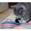 View the image: OLYMPUS DIGITAL CAMERA