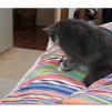 View the image: OLYMPUS DIGITAL CAMERA