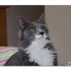 View the image: OLYMPUS DIGITAL CAMERA
