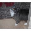 View the image: OLYMPUS DIGITAL CAMERA