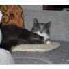 View the image: OLYMPUS DIGITAL CAMERA