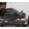 View the image: OLYMPUS DIGITAL CAMERA