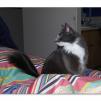 View the image: OLYMPUS DIGITAL CAMERA