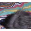 View the image: OLYMPUS DIGITAL CAMERA