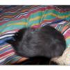 View the image: OLYMPUS DIGITAL CAMERA