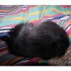 View the image: OLYMPUS DIGITAL CAMERA