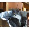 View the image: OLYMPUS DIGITAL CAMERA