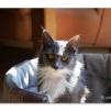 View the image: OLYMPUS DIGITAL CAMERA
