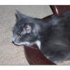 View the image: OLYMPUS DIGITAL CAMERA