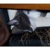 View the image: OLYMPUS DIGITAL CAMERA