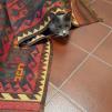 View the image: IMG_20250604_101016-207