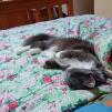 View the image: IMG_20250624_082948-210