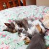 View the image: IMG_20250628_090428-211