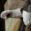 View the image: _M251387-206
